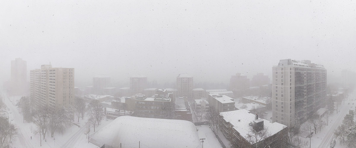 Snow falls heavily and the skyline is gone, only the nearest towers grey against white, everything below thickly covered.
