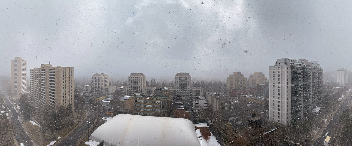 Heavy snow in the air with flakes across the frame and the skyline reduced to a faint grey smudge.