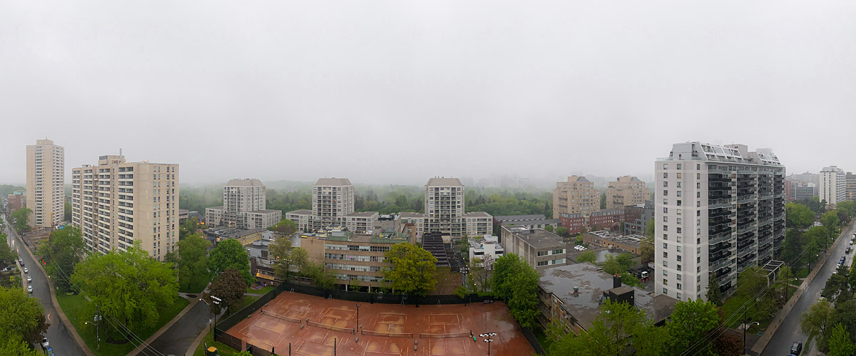 Low cloud and rain mist erase the skyline completely, leaving pale grey above the treetops and wet clay below.
