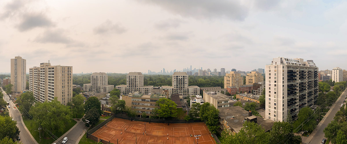 Pale grey cloud covers the sky and the skyline sits low in contrast behind the canopy.
