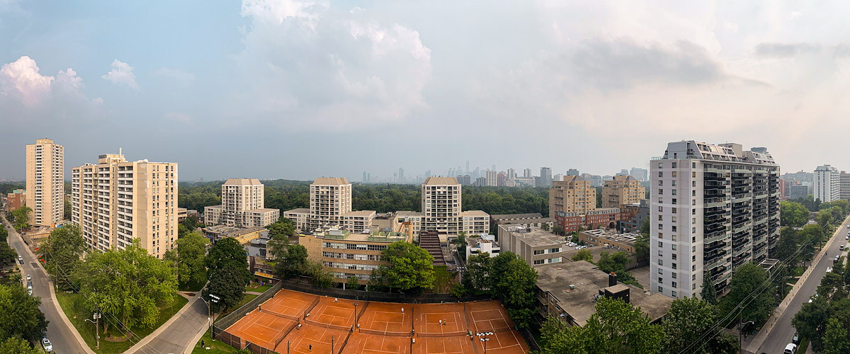 Pale hazy sky with soft cloud to the right, the skyline low in contrast behind heavy green canopy.